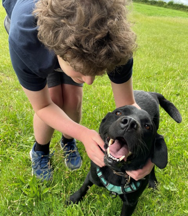 black dog